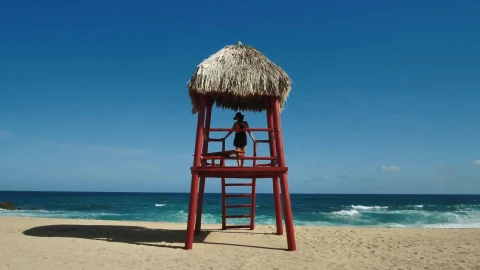 Stock Footage Woman Looking At Ocean Live Wallpaper Free - Free Live Wallpaper