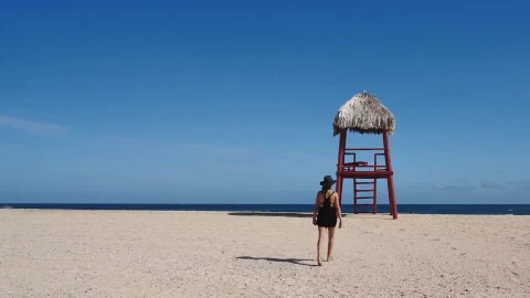 Stock Footage Woman Walking Barefoot On The Beach Live Wallpaper Free - Free Live Wallpaper