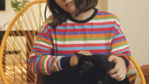 Stock Footage Woman Petting A Cat Live Wallpaper Free - Free Live Wallpaper