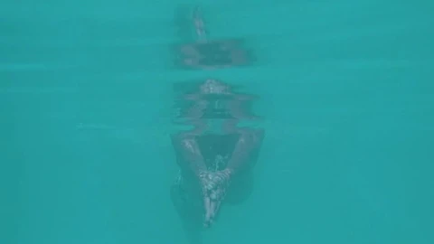 Stock Footage Young Woman Swimming Underwater In A Pool Live Wallpaper Free - Free Live Wallpaper