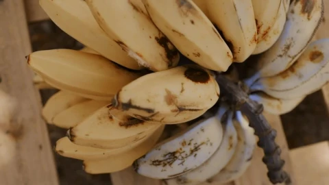 Stock Footage Wooden Table With Bananas Live Wallpaper Free - Free Live Wallpaper