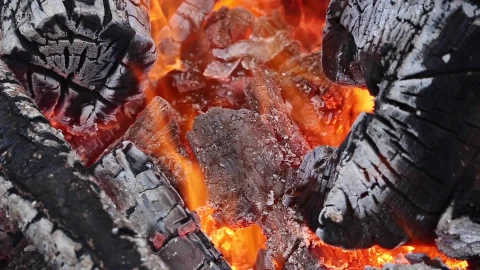 Campfire Embers Video Live Wallpaper - Free Live Wallpaper