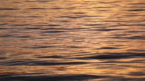 Ripples At Sunset Video Live Wallpaper - Free Live Wallpaper