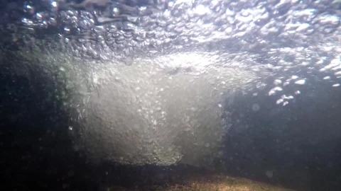 Underwater Bubbles Video Live Wallpaper - Free Live Wallpaper
