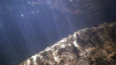 Underwater Rays Video Live Wallpaper - Free Live Wallpaper
