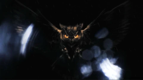 Night Owl Live Wallpaper - Free Live Wallpaper