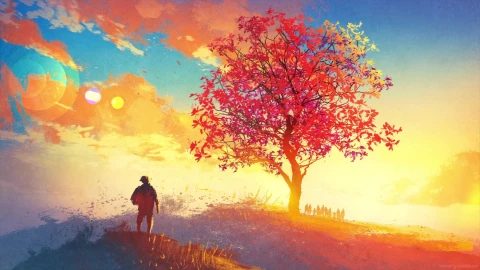 Desktop Autumn Sunrise Live Wallpaper - Free Live Wallpaper