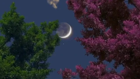 Android  Iphone Lunar Eclipse Phone Live Wallpaper - Free Live Wallpaper