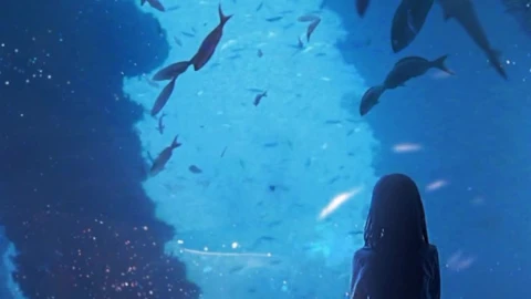 Android and iPhone Aquarium Girl And Shark Phone Live Wallpaper - Free Live Wallpaper