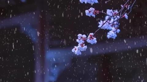 Calm Winter Scenery Live Wallpaper - Free Live Wallpaper