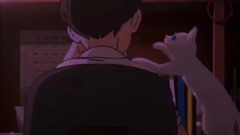 Android  iOS Chill With Cat Live Wallpaper - Free Live Wallpaper