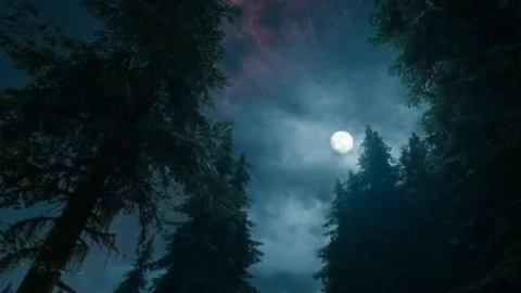 Android  iOS Night Sky Live Wallpaper - Free Live Wallpaper