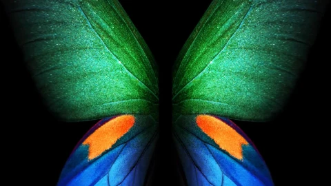Butterfly Multicolor Samsung Galaxy Z Fold3 Phone Live Wallpaper - Free Live Wallpaper