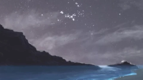 iPhone and Android Night Girl Sea Sparkle Live Phone Wallpaper - Free Live Wallpaper