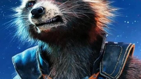 iPhone  Android Rocket Raccoon Guardians Of The Galaxy Live Wallpaper for Phone - Free Live Wallpaper