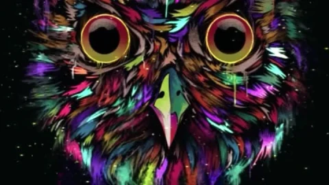 iPhone and Android Owl Paint Minimalist Live Phone Wallpaper - Free Live Wallpaper