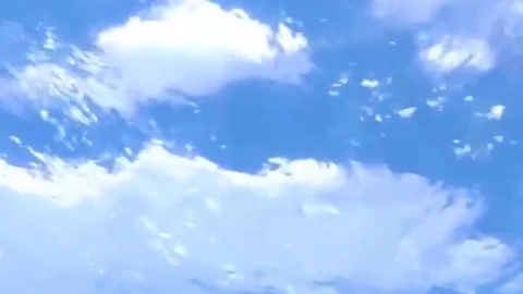 Live Cool Underwater Wallpaper To Iphone And Android - Free Live Wallpaper
