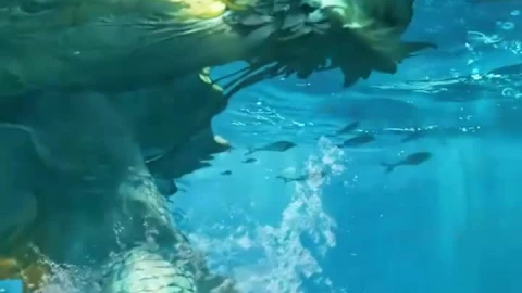 Iphone And Android Sea Monster Phone Live Wallpaper - Free Live Wallpaper