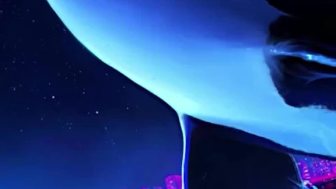 iPhone and Android Dolphin Night Orca Whale Live Phone Wallpaper - Free Live Wallpaper