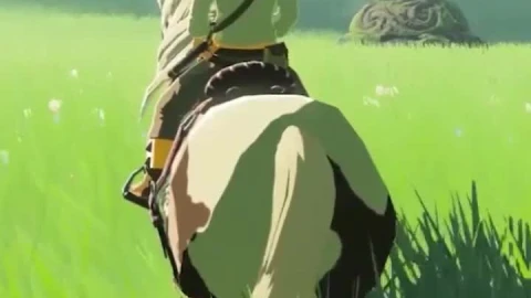 iPhone and Android Breath Of The Wild Link Phone Live Wallpaper - Free Live Wallpaper