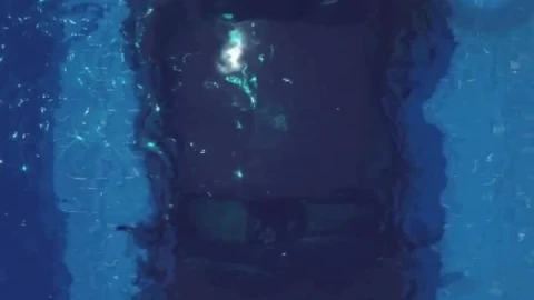Live Phone Car In Pool Wallpaper To iPhone And Android - Free Live Wallpaper