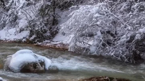 Cool river in winter forest iphone wallpaper aesthetic - Free Live Wallpaper