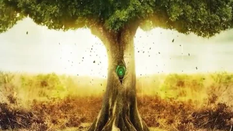 iPhone  Android Tree Of Life Phone Live Wallpaper - Free Live Wallpaper