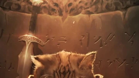 iPhone  Android Animal The Saddest Khajit Live Wallpaper for Phone - Free Live Wallpaper