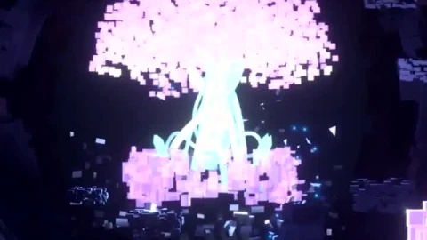 Android  iOS iphone Mobile Honkai Impact 3rd Anime Sakura Live Wallpaper - Free Live Wallpaper