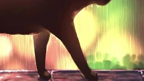 iPhone  Android Black Cat Walking In The Rain Free Phone Live Wallpaper - Free Live Wallpaper