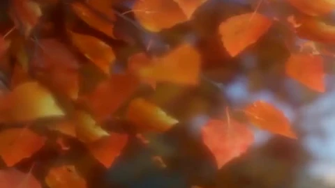 Falling Leaves Fall Wallpaper Iphone - Free Live Wallpaper