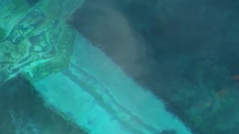 Live Phone Sword In Underwater Wallpaper To iPhone And Android - Free Live Wallpaper