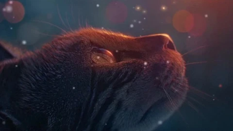 Live Phone Cat Looking At Glowing Butterfly Wallpaper To iPhone And Android - Free Live Wallpaper