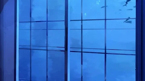 Whales Outside The Window iphone lock screen wallpaper - Free Live Wallpaper