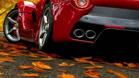 Fall Wallpaper iPhone - Free Live Wallpaper