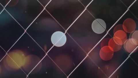 Fence Live Wallpaper For Phone - Free Live Wallpaper