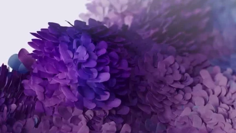Colors Samsung Galaxy S20 S20 Plus  S20 Ultra 5G Phone Live Wallpaper - Free Live Wallpaper