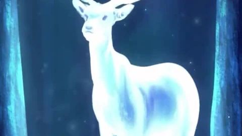 iPhone  Android Glowing Deer Night Forest Phone Live Wallpaper - Free Live Wallpaper
