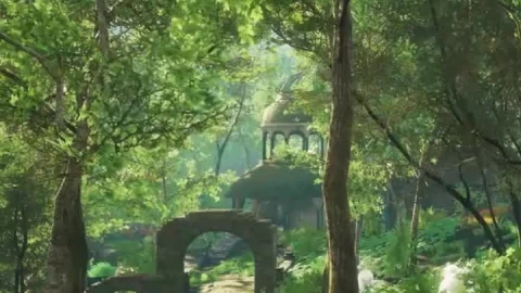 Free a walk through the woods for android wallpaper - Free Live Wallpaper