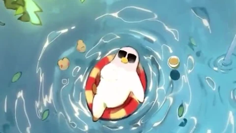 iPhone  Android Pigeon Chilling Pool Relax Phone Live Wallpaper - Free Live Wallpaper