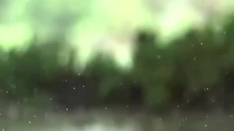 iPhone  Android Rain Nature Slow Motion Phone Live Wallpaper - Free Live Wallpaper