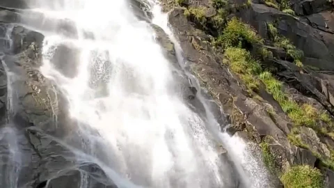 Waterfall Nature Live Wallpaper For Phone - Free Live Wallpaper
