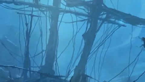 iPhone  Android Underwater Shipwreck Phone Live Wallpaper - Free Live Wallpaper