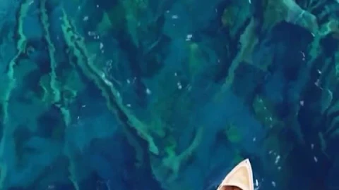 iPhone  Android Lonely Boat Dragon Bones Free Phone Live Wallpaper - Free Live Wallpaper