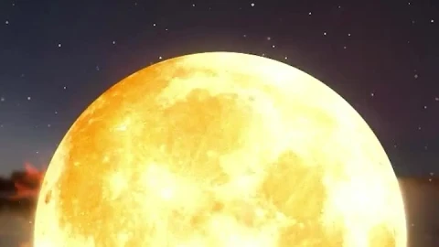 iPhone  Android Fantasy Nature Beach Moon Fire Phone Live Wallpaper - Free Live Wallpaper