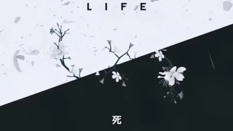 iPhone And Android Life And Death Minimalism Phone Live Wallpaper - Free Live Wallpaper