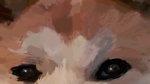 Android  iPhone Shiba Inu Live Phone Wallpaper - Free Live Wallpaper