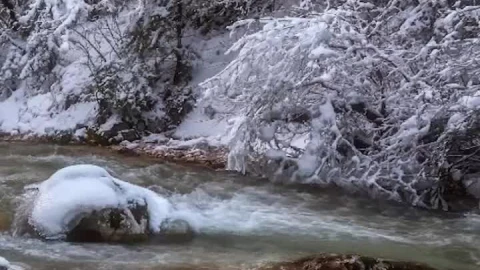 Android  iOS iphone Mobile River In Winter Forest Live Wallpapers - Free Live Wallpaper
