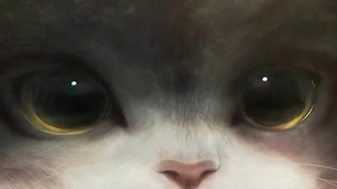 Iphone And Android Giant Cute Cat Phone Live Wallpaper - Free Live Wallpaper