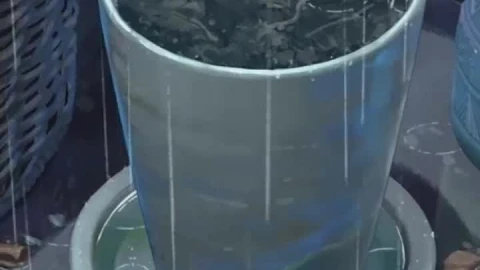 iPhone and Android Rain Flower Pot Live Phone Wallpaper - Free Live Wallpaper